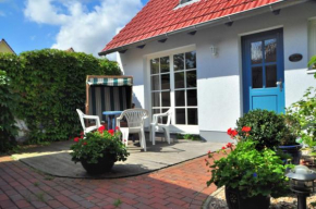 Muschel, Warnemünde